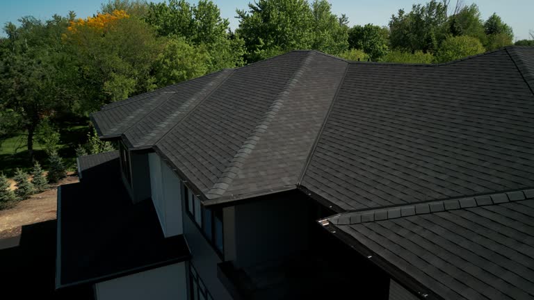 Best Roof Ventilation Installation  in Shelburn, IN