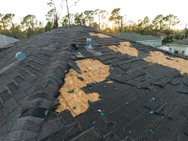 Best Roof Installation  in Shelburn, IN